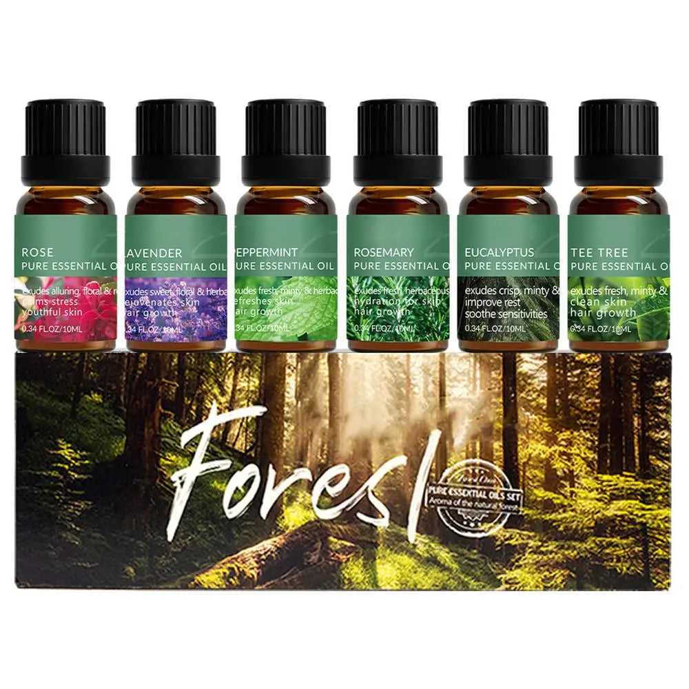 Beauty Essentials Collection